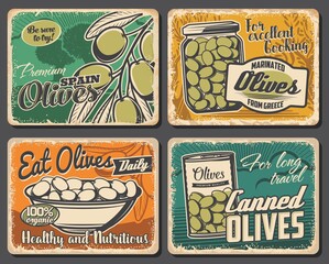 Farm natural and canned olives vector retro posters. Green olives fruits on tree brunch, served in bowl, marinaded in glass jar and can. Natural farming, culinary ingredients vintage scratched cards