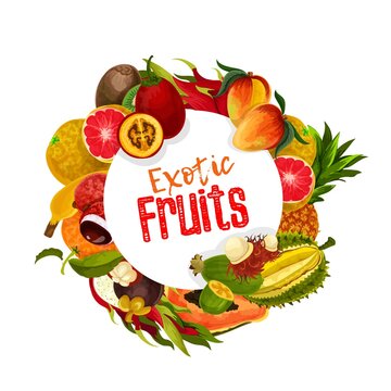 Exotic tropical fruits round vector banner. Whole and sliced tamarillo, mangosteen and rambutan, durian and pineapple, papaya, feijoa and mango, lychee, pomelo, orange and grapefruit, kiwi