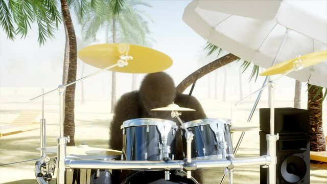 Funny gorillas and monkeys play on guitar and drums. Rock party on sunny seaside. Realistic 4K animation.