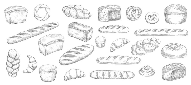 Bread and bakery food sketches. Engraved vector pastry, baked loaf, rye and wheat bread, croissants and pretzel, braided buns, cupcake and french baguette. Engraving bakery shop bread sketches