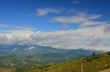 Fototapeta na wymiar mountainview at Doi Chang Mub, Chiang Rai Province,thailand