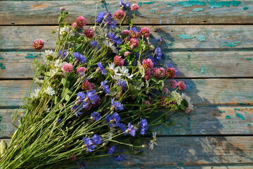 Bunch of wild plants, white camomiles and blue cornflowers on a Green wooden board .Summer floral composition