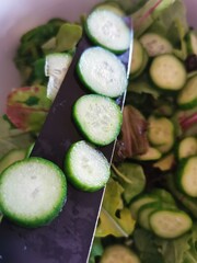 avocado and cucumber salad