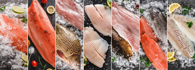 Food collage of various fresh fillet fish, white fish pangasius, salmon red fish, trout fish steak...
