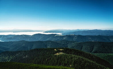 Majestic Carpathian mountains range. A view of the forested slopes of the mountains with evergreen conifers. Sunny day with blue sky. Travel background