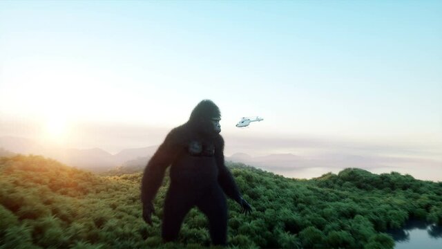 Giant gorilla and helicopter in jungle. Prehistoric animal and monster. Realistic fur and animation. 4K render.