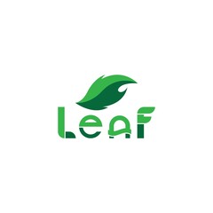 leaf vector template icon design