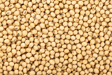Soybeans texture background.