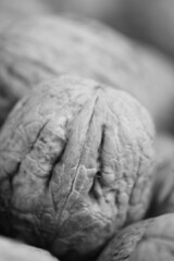 Enlarged walnuts. © Marek