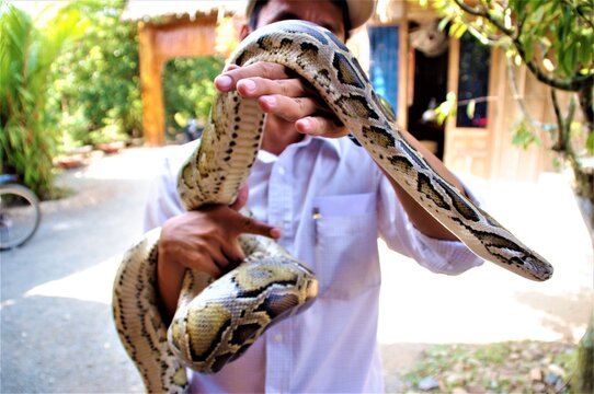 snake caught