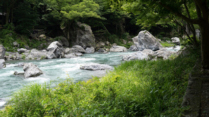 The clear stream of the Tama River in Tokyo