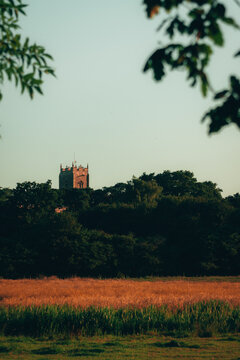 Top Of A Church Peeking Over Hedges In A Field 