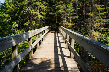 Fototapeta na wymiar Old wooden bridge in a Canadian Forest