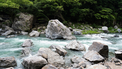 Naklejka na ściany i meble The clear stream of the Tama River in Tokyo