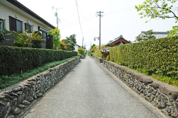 Fototapeta premium 武家屋敷のある町 出水市麓