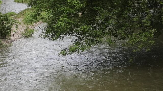 river park of monza italy #01