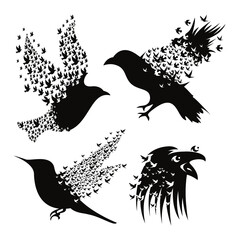 Black raven bird vector sketch template