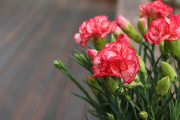 carnation flower . pink cloves flowers . 