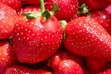 lots of natural red strawberries in a bowl close up