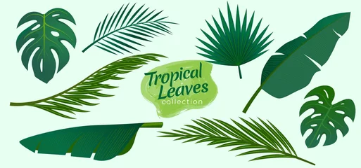 Zelfklevend Fotobehang Tropische bladeren Verzameling van tropische bladeren vectorillustratie
