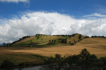 Fototapeta premium Paisaje
