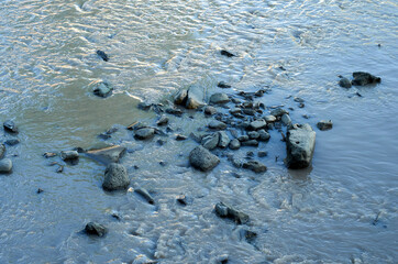 piedras río ameca