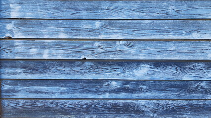 Obraz premium Blue house