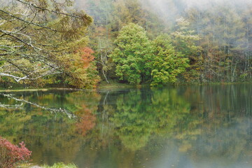 秋のカラフルに紅葉した御射鹿池の風景