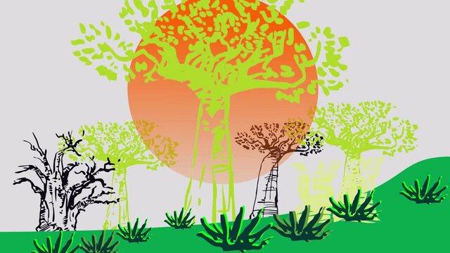 footage  of baobab trees on 
sand dunes and the atmosphere at sunset.