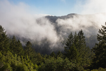 clouds over the mountain forest
