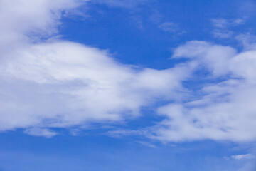 雲