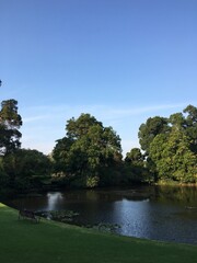 El lago principal del jardin botanico de Melbourne, un sitio llenó de color y aire fresco...