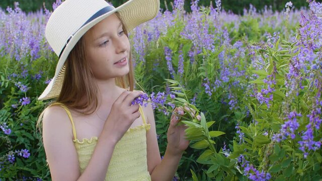 Adorable teenage girl in hat sniffing flowers on green meadow. Beautiful smiling young girl in dress and hat smelling beautiful purple flowers on blooming field at summertime