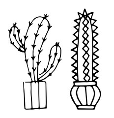 Two cacti in flower pots. Black outline. Hand drawn style. Isolated on a white background. Vector illustration.