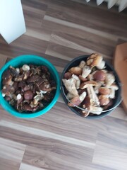 dried fruits and nuts
