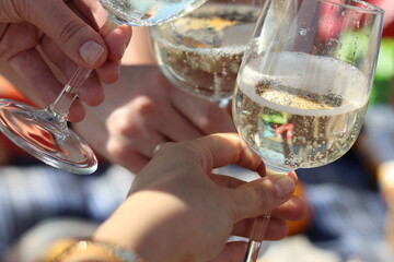 champagne on a plaid  at a picnic .Celebration. People holding glasses of champagne making a toast outdoors