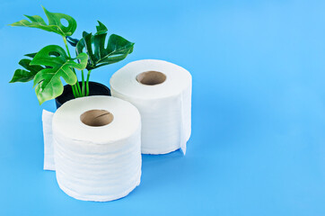 Tissue paper rolls and green leaves.