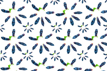 Pattern food from early blue honeysuckle berries (lat. Lonicera coerulea) on a white background