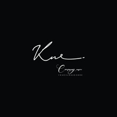 KN initials signature logo. Handwriting logo vector templates. Hand drawn Calligraphy lettering Vector illustration.
