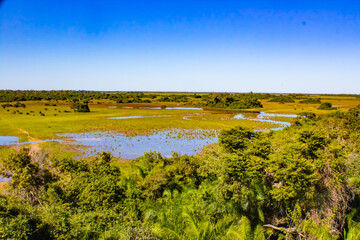 landscape of the Pantanal