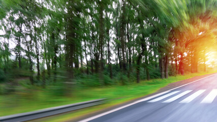 Blurred background with asphalt road, green forest and sunset on horizon