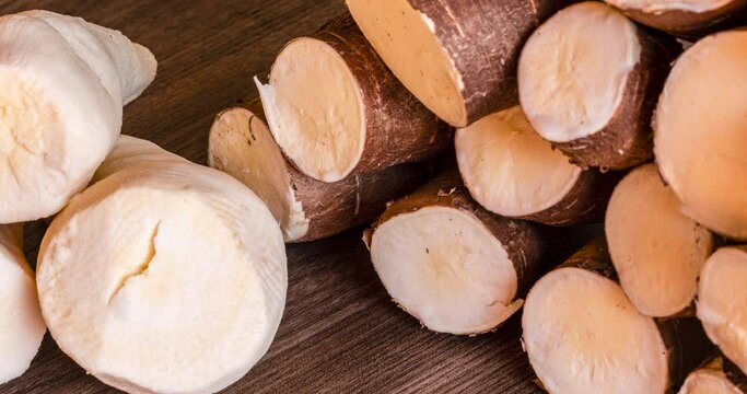 Cassava, also called manioc, yuca, balinghoy, mogo, mandioca, kamoteng kahoy, tapioca and manioc root, a woody shrub of the Euphorbiaceae family native to South America