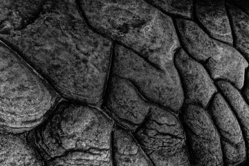 Stone texture background