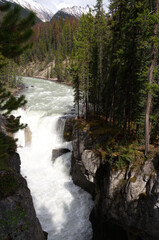 Sunwapta Falls