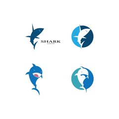 Shark Logo vector Template