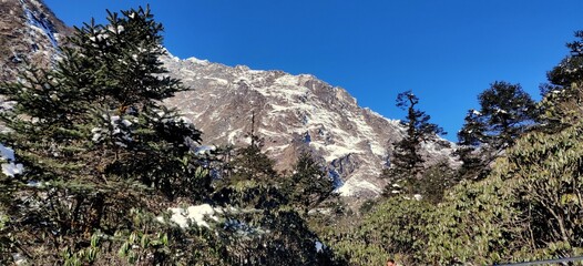 Beautiful landscape view of Yumthung Valley of North Sikkim. In the background, the beautiful...