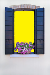 flower on window with isolated die cut path