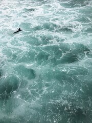 Naklejka premium solo surfer in the water