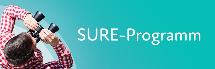 SURE-Programm. Mann mit Fernglas aus Vogelperspektive. Beobachtung, Draufsicht, Panorama. Business...