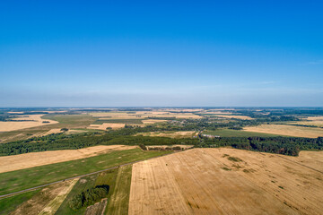 Fototapeta na wymiar Rural flat landscape. Plowed and sown fields.